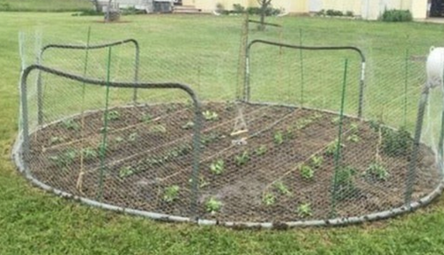 Garden fence made from a trampoline