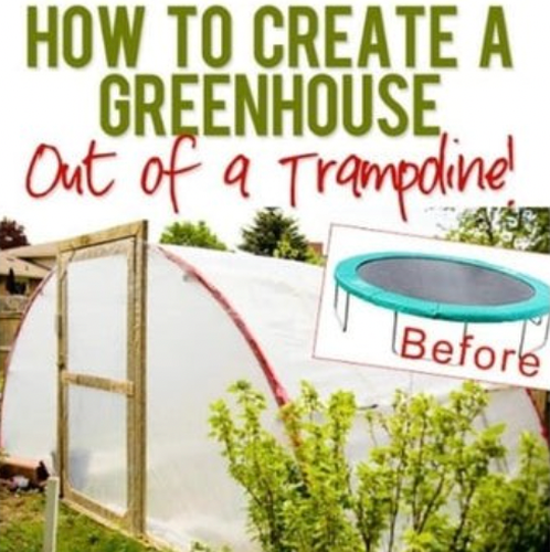 Trampoline into a greenhouse