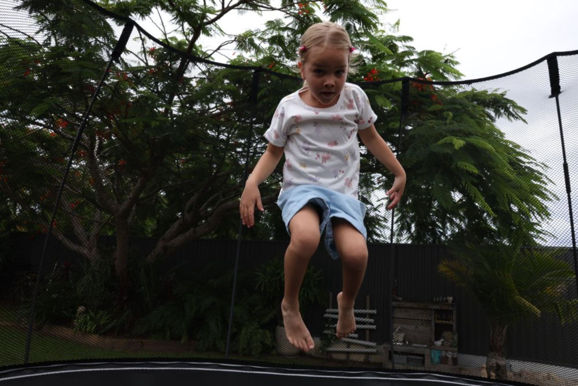Jumping on a springless trampoline